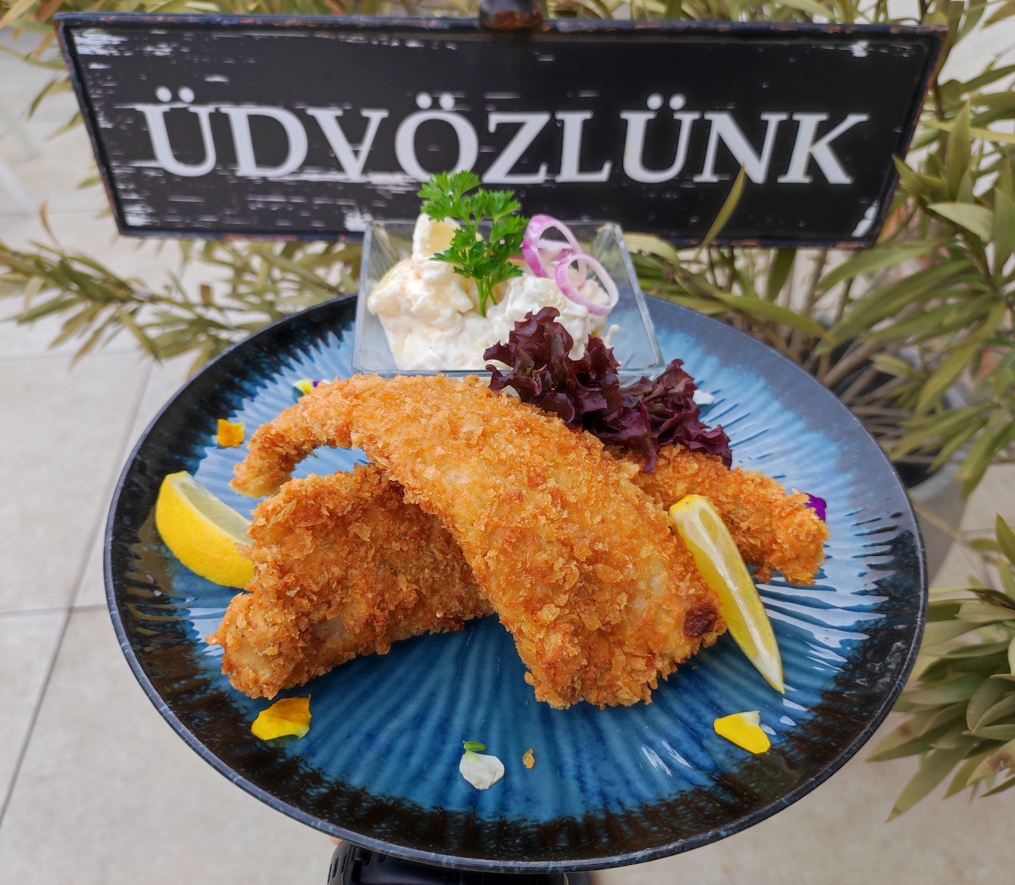 Halfilé burgonyasalátával